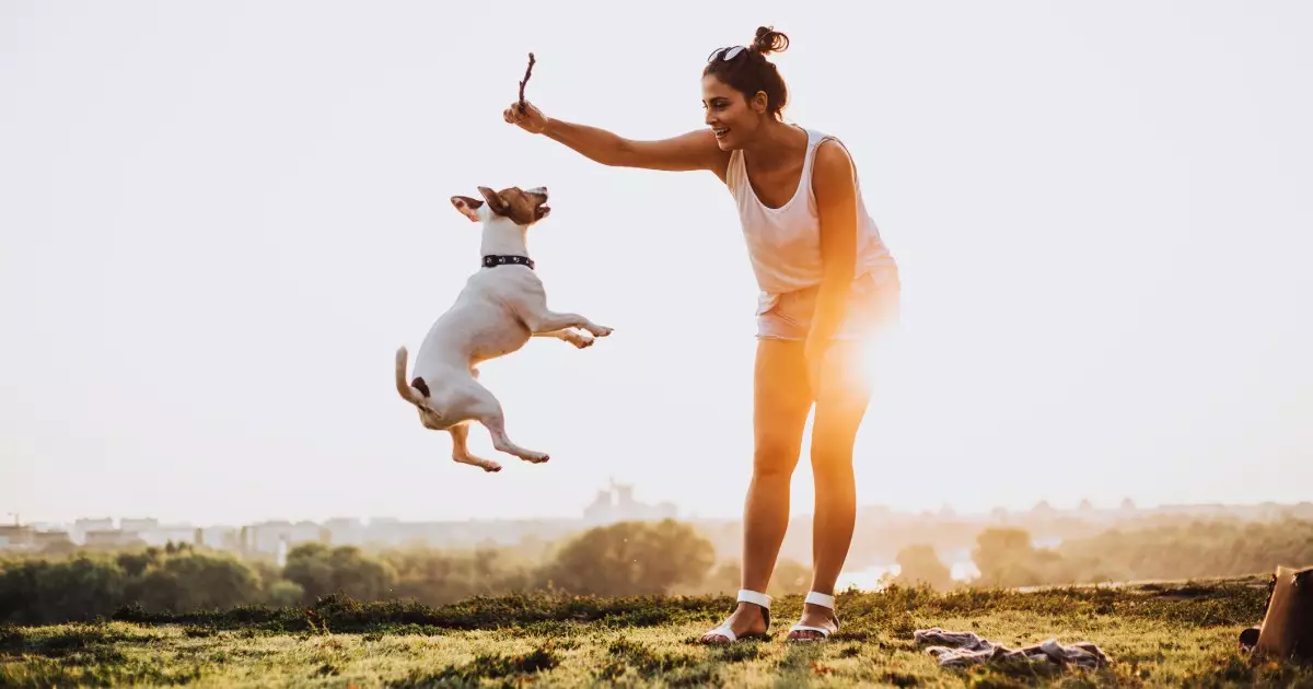 Engaging Your Dog: The Secret to a Happy and Healthy Companion