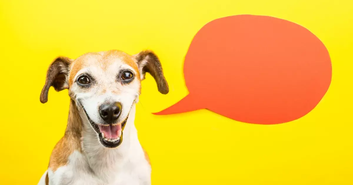 The Art of Communication: A Guide to Dog Talking Buttons