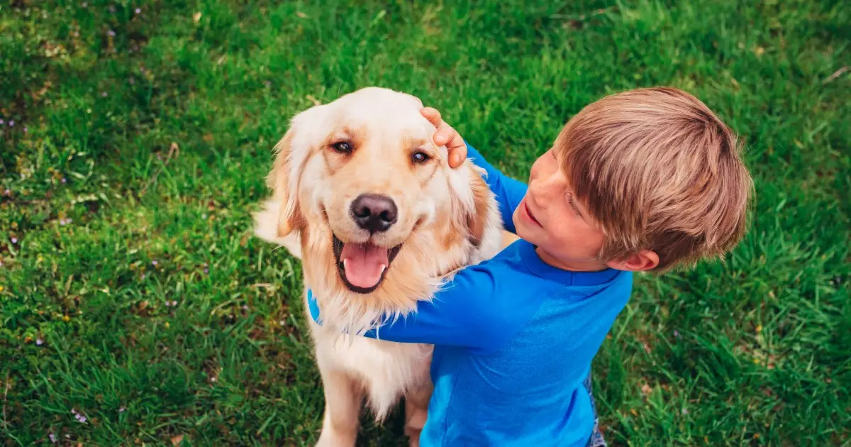 The Genetic Influence on Dog Personalities: Beyond Stereotypes