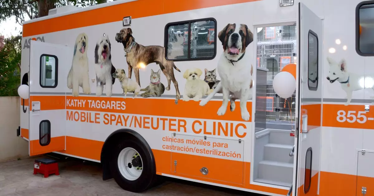 Understanding the Importance of Spaying and Neutering: A Call for Responsible Pet Ownership