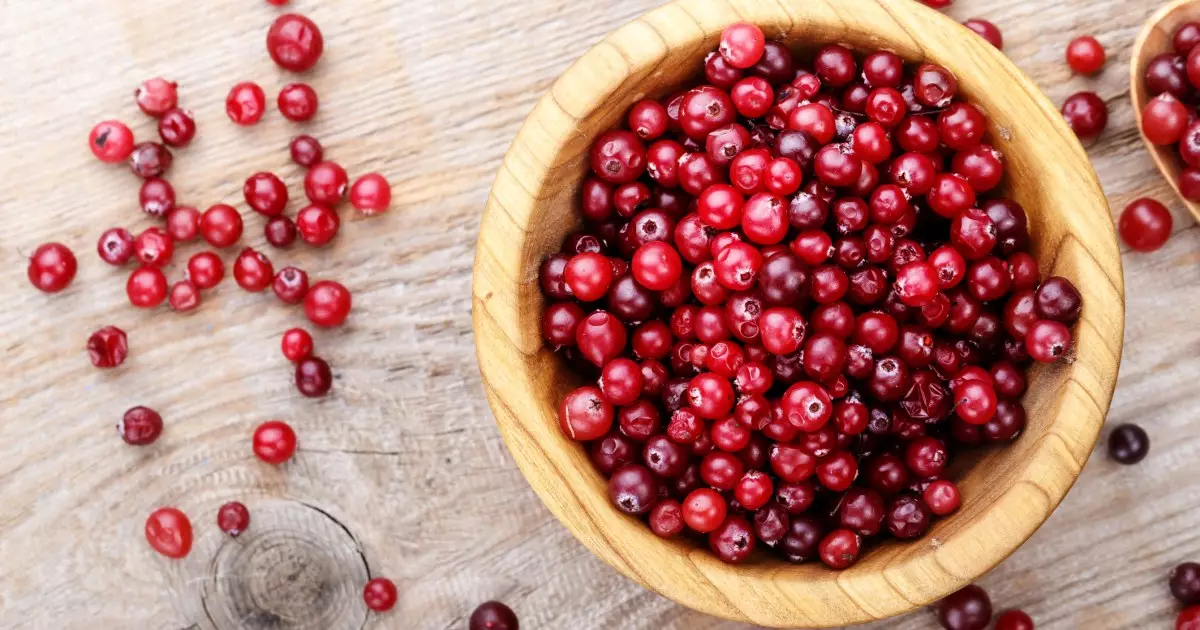 Delicious and Nutritious: The Truth About Cranberries for Dogs