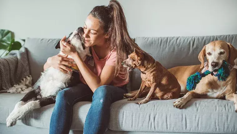 The Unsung Heroes of Pet Care: Celebrating Professional Pet Sitters