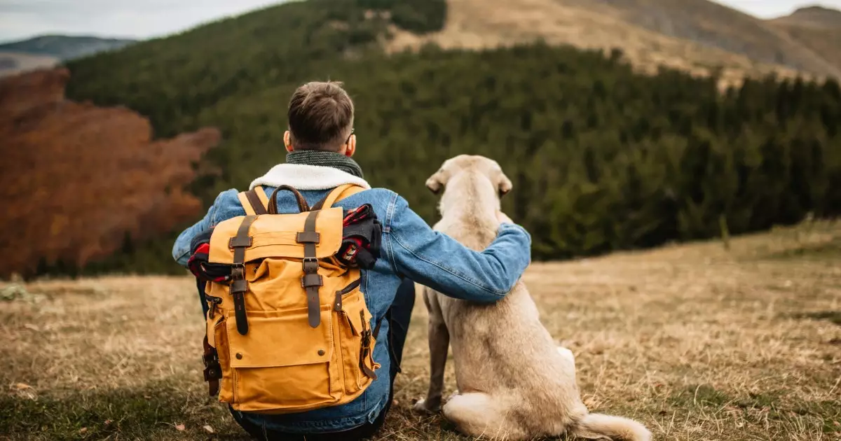 The Ultimate Guide to Hiking with Your Dog