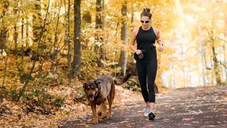 Running Into Autumn: Embrace the Season with Your Furry Friend