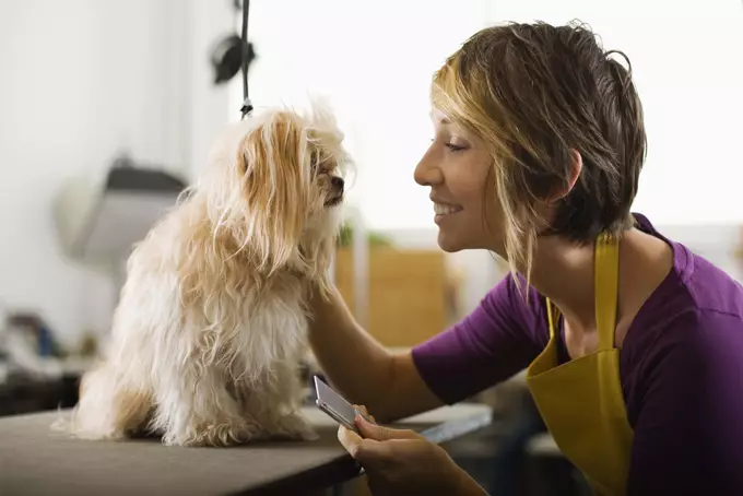 The Ultimate Guide to Dog Grooming: Keeping Your Canine Companion Pristine