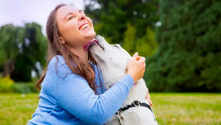 Unleashing the Joy of Fresh Breath: Why Your Dog Deserves It