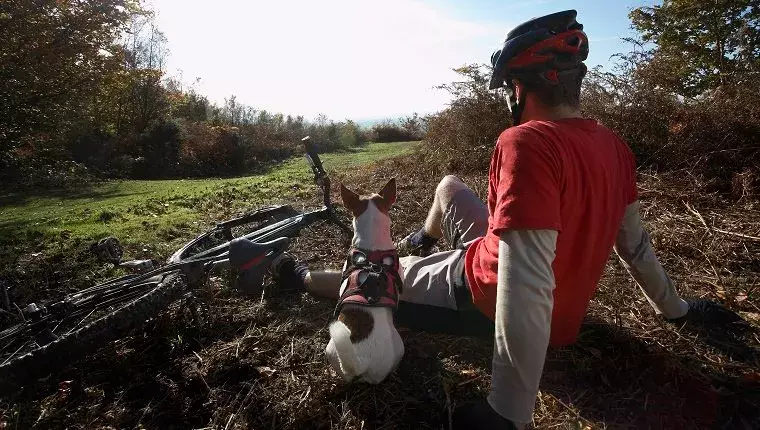 Joyful Adventures: Biking with Your Dog Safely