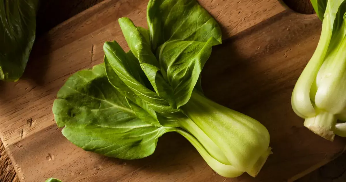 Wholesome Wonder: The Power of Bok Choy for Your Dog’s Diet