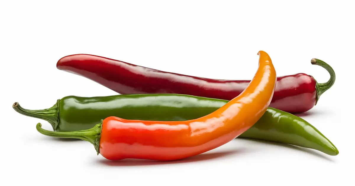 Why Your Dog Should Avoid Spicy Chili Peppers