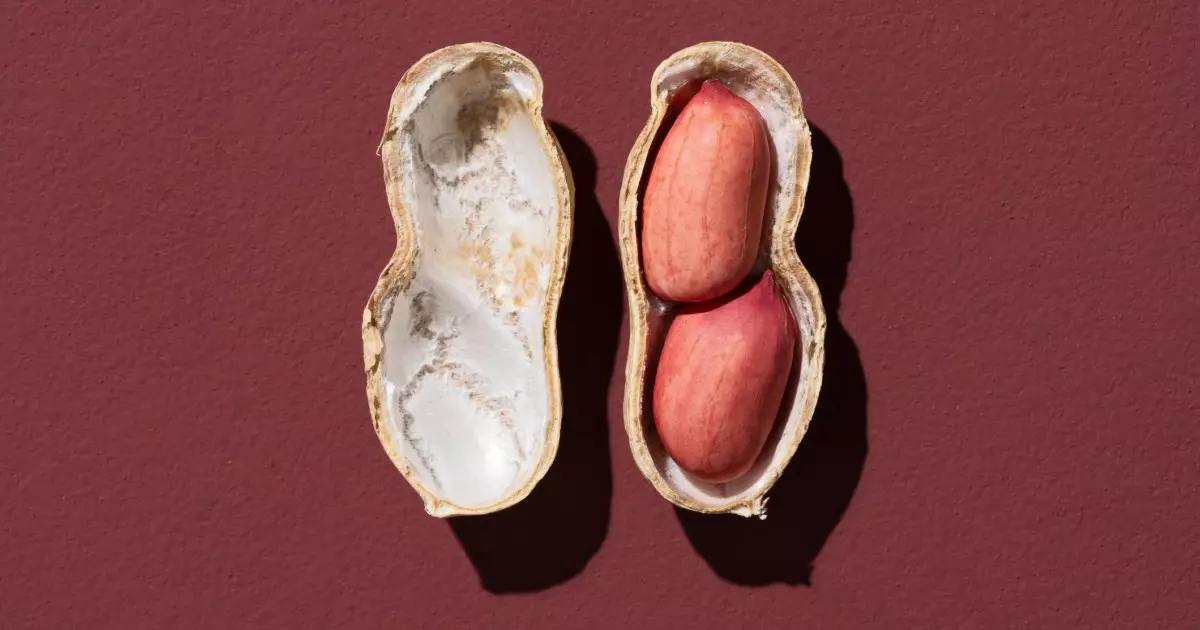 Delicious Yet Cautionary: The Truth About Dogs and Peanuts