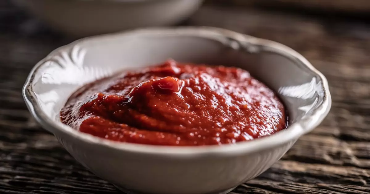 Delightful Yet Dangerous: The Truth About Dogs and Ketchup
