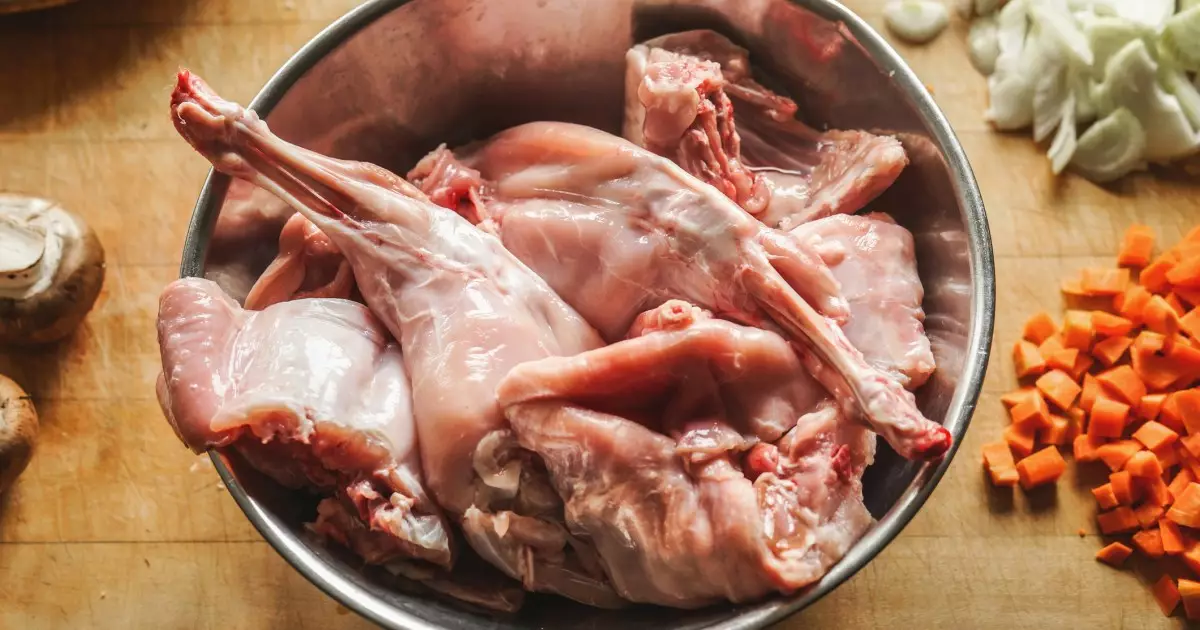 Unlock the Benefits: Why Rabbit Meat is an Excellent Choice for Your Dog