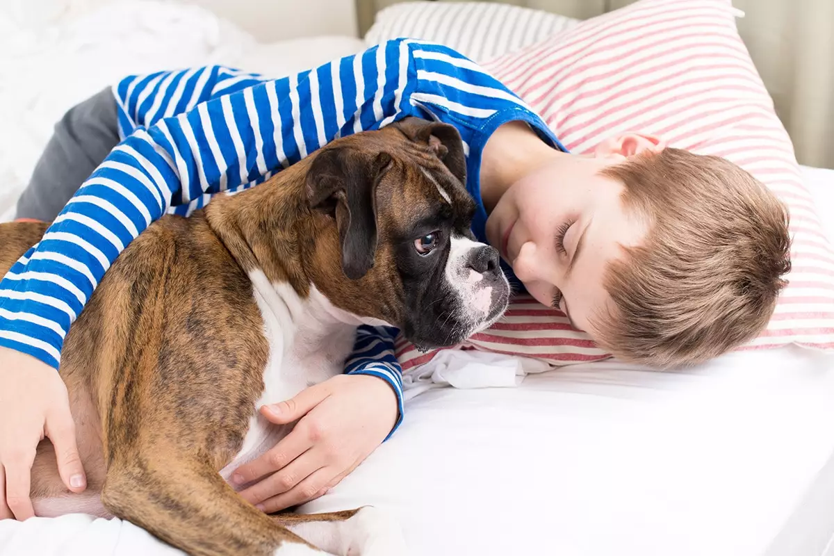 Unwavering Bonds: The Unmatched Power of a Dog’s Love