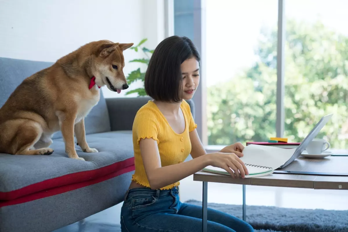 The Unspoken Power of Loyalty: How Constant Companions Enrich Our Lives